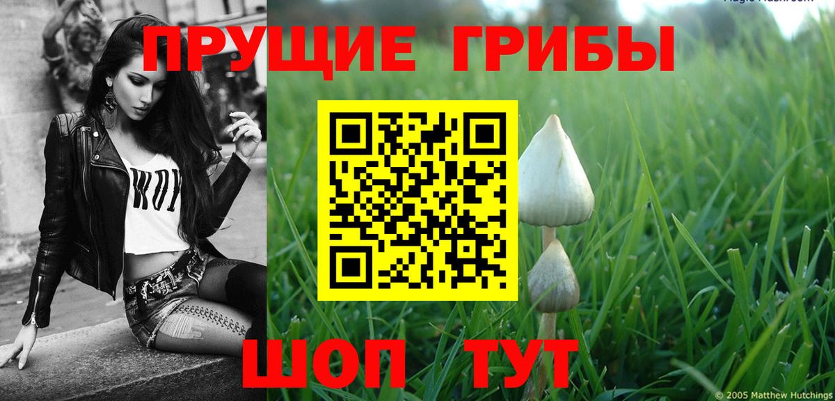 Астрахань  Псилоцибиновые грибы мицелий  Вход с VPN  Псилоцибиновые грибы Psilocybine cubensis 